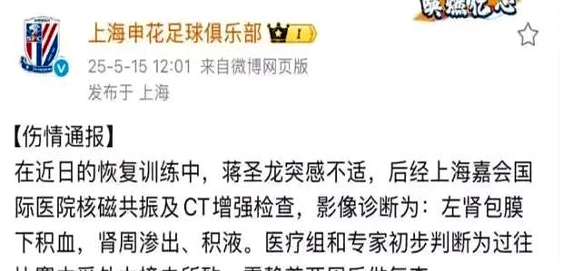 杏彩体育在线登录-申花球员新伤情公布，主教练制订紧急方案的简单介绍