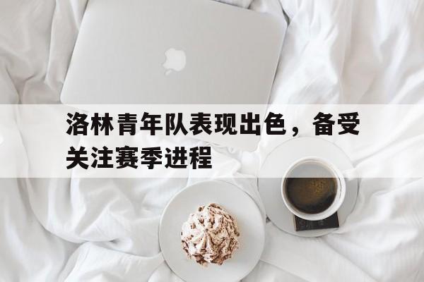 杏彩体育入口-洛林青年队表现出色，备受关注赛季进程的简单介绍