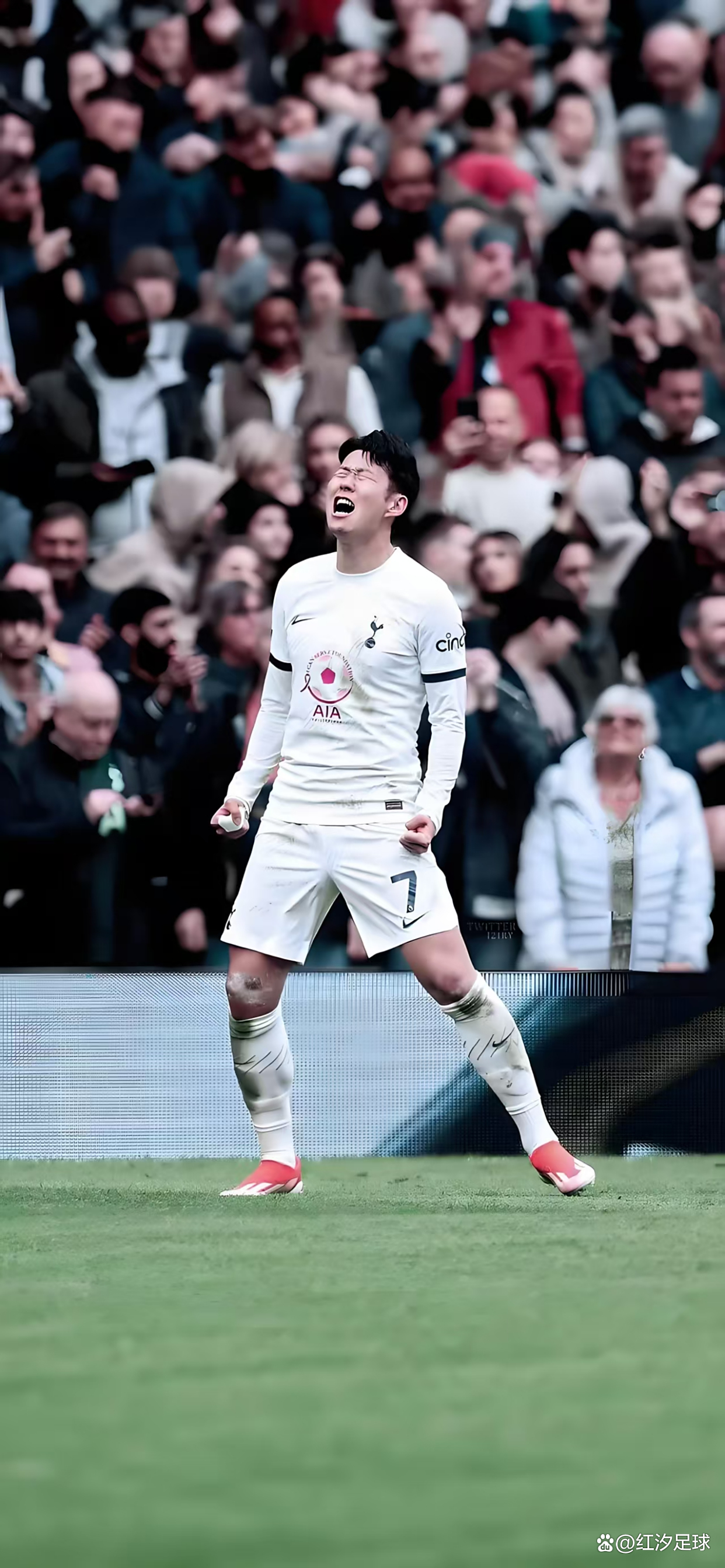 杏彩体育网页版-热刺外援受重伤，英超争夺形势蒙上阴影的简单介绍