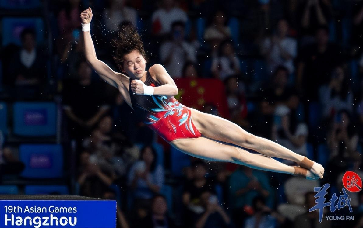 跳水选手优雅入水，获得满分的简单介绍