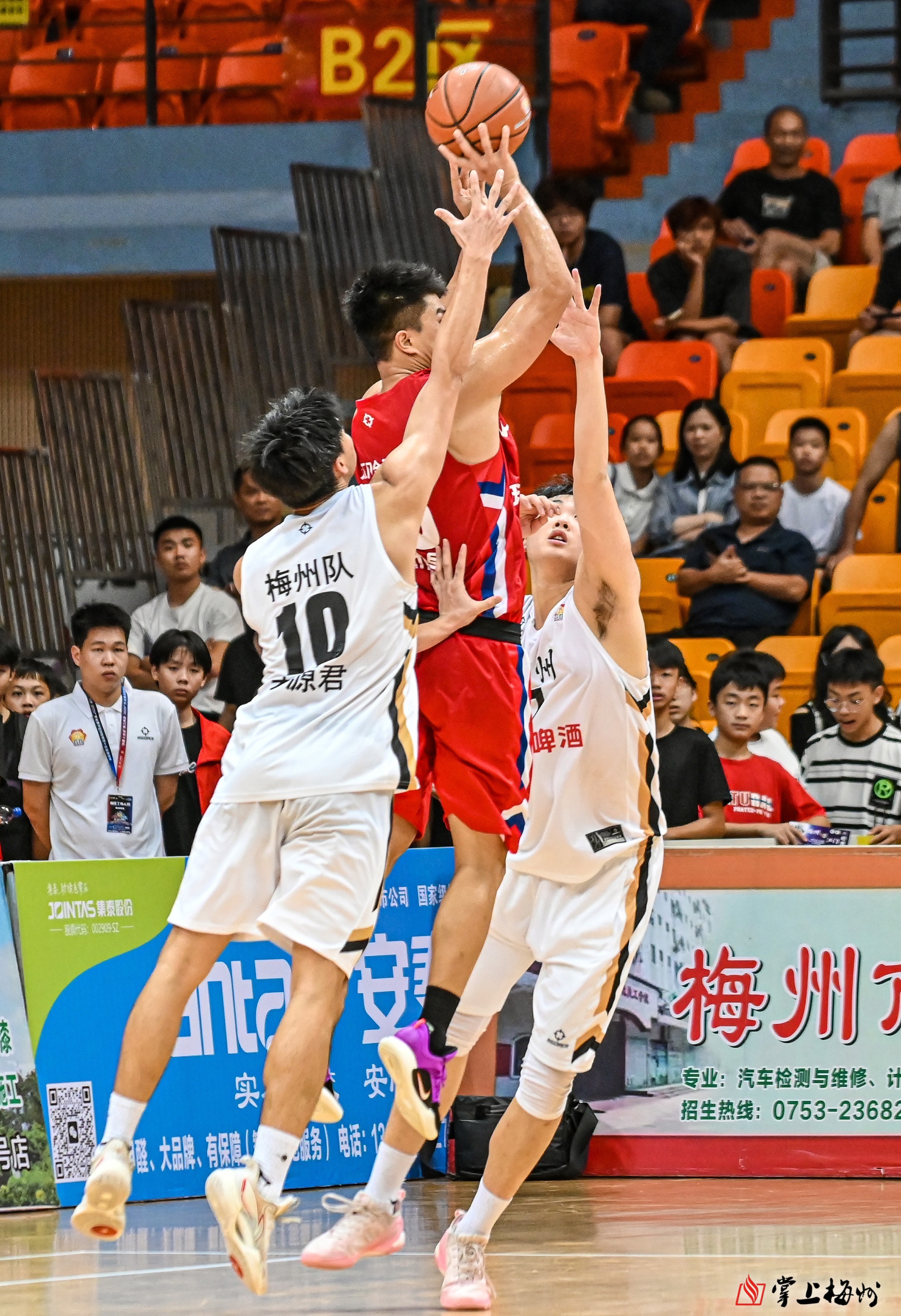 杏彩体育链接-广东队主场完胜浙江队，斩获胜利