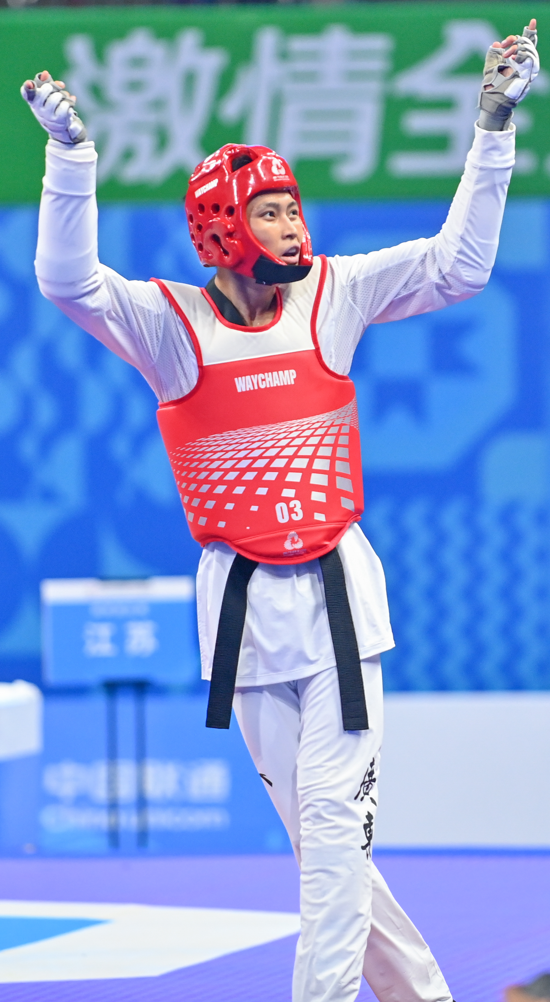 法国跆拳道选手意外获得铜牌的简单介绍 法国跆拳道选手意外获得铜牌的简单介绍